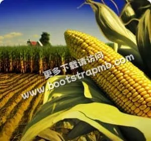 我们懂球，更懂你 - 虎扑体育junlitian